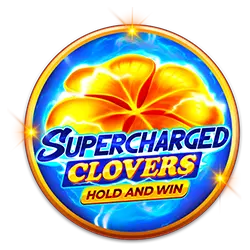 bigwin slot how to bet 1×2